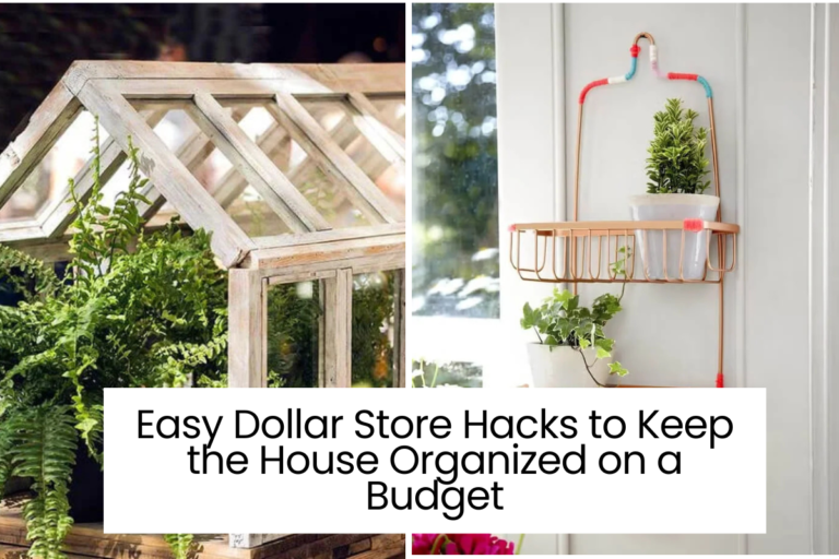 Easy Dollar Store Hacks to Keep the House Organized on a Budget