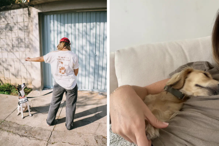 How to Stop a Dog from Barking with Simple Training Tips That Really Work