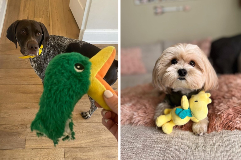 Unleash Fun with the Best Dog Toys for Every Pups Needs