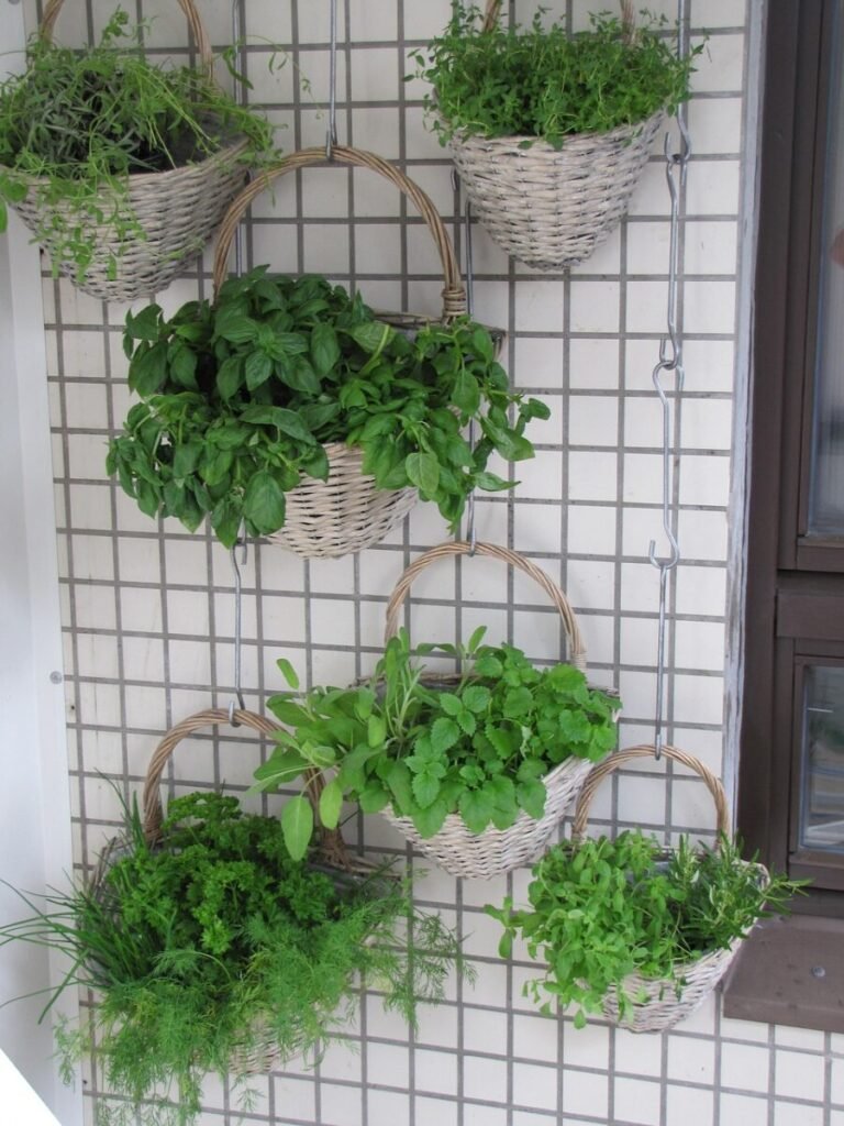 balcony, herbs, cicada garden, vertical planting, planting baskets, wall garden, herb, basilica, thyme, lavender, in lemon balm, parsley, dill, chives, parsley, parsley, parsley, parsley, parsley